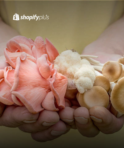 We build this store by migrating their existing magento website to shopify plus plan.