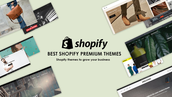 Shopify Paid Themes That Can Transform Your Business