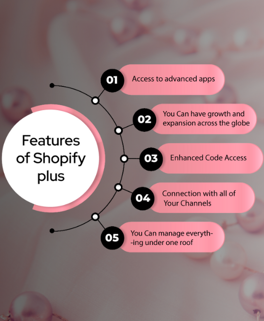 TheGenieLab’s Role as a Shopify Plus Agency