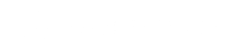 Experts in Wordpress Technology